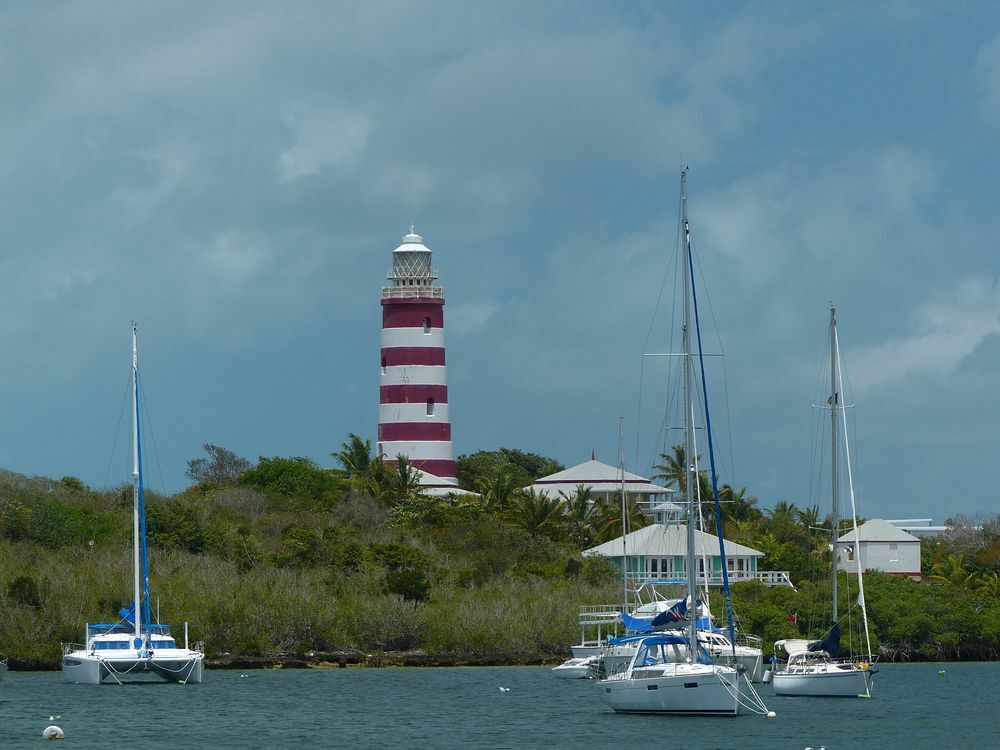 Click to See Next Image