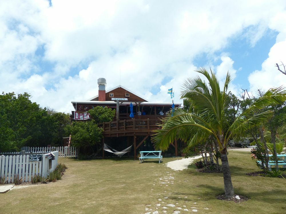 Click to See Next Image