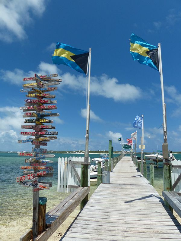 Click to See Next Image