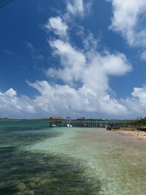 Click to See Next Image