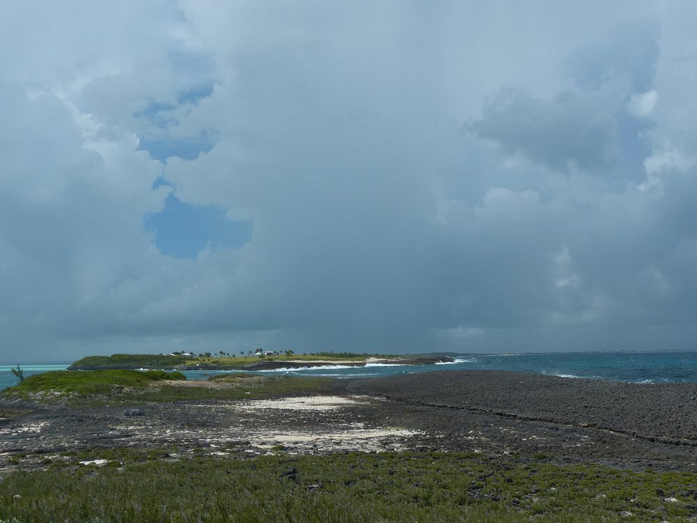 Click to See Next Image