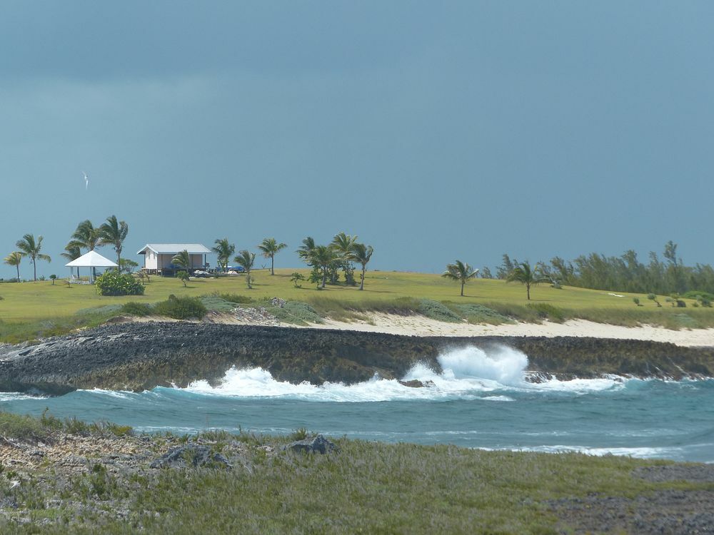 Click to See Next Image