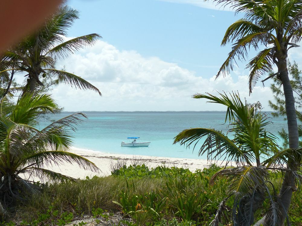 Click to See Next Image