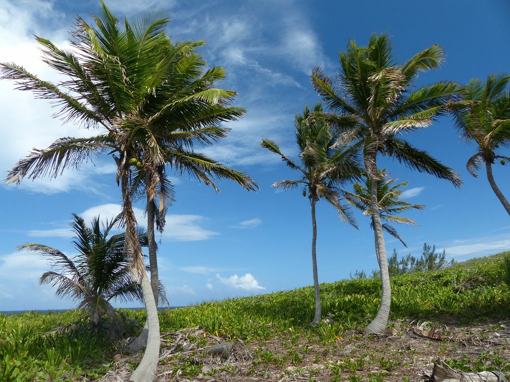 Click to See Next Image