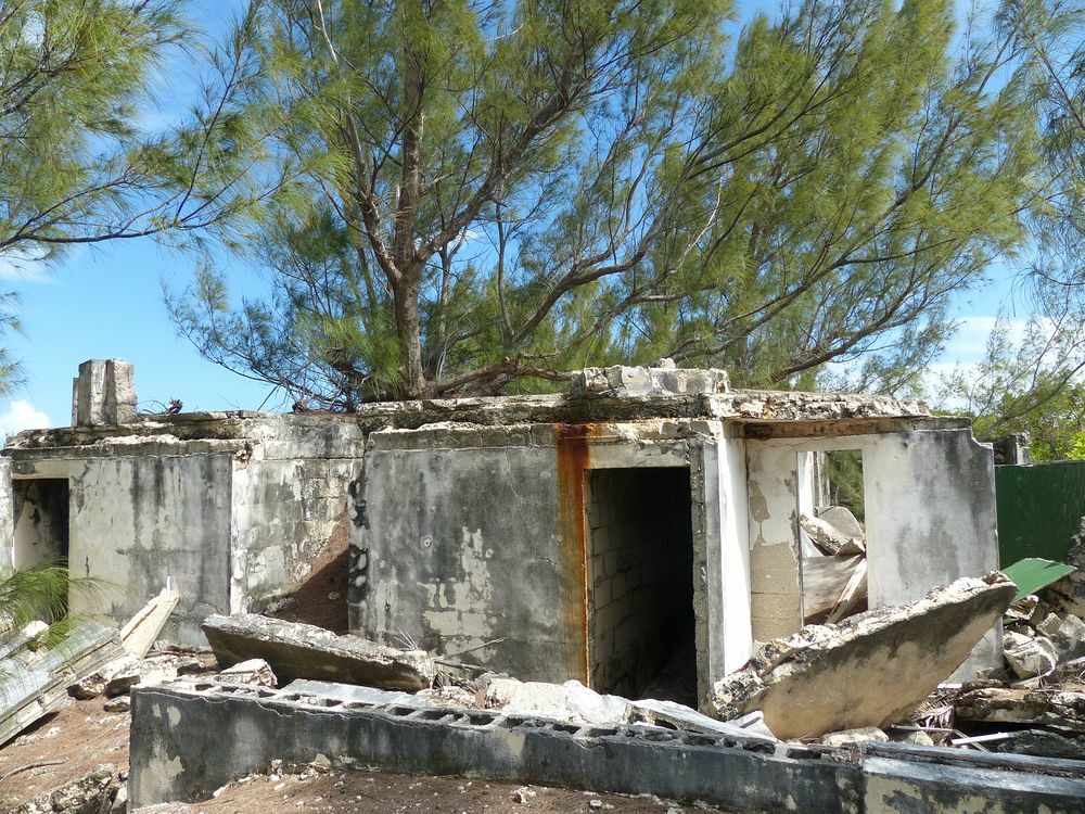 Click to See Next Image