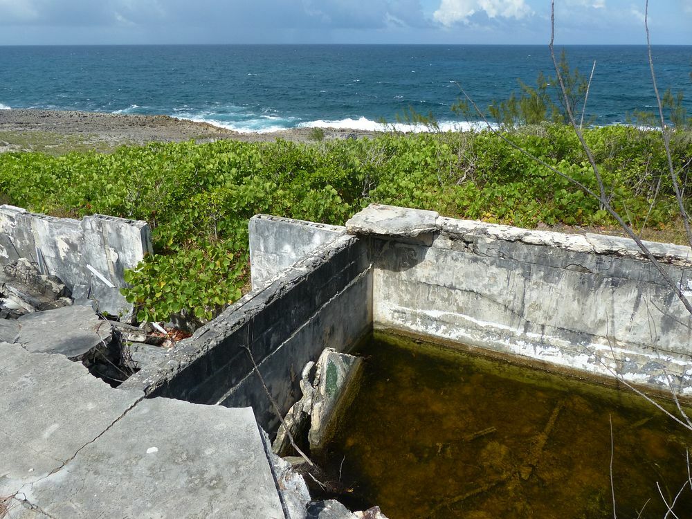 Click to See Next Image