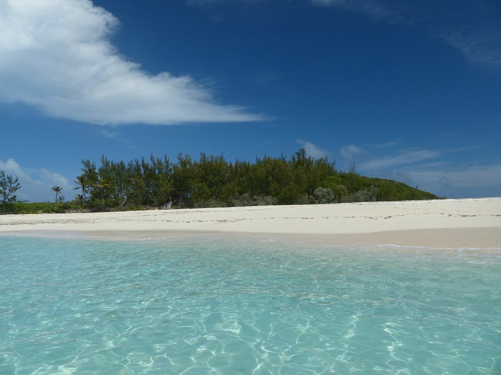 Click to See Next Image