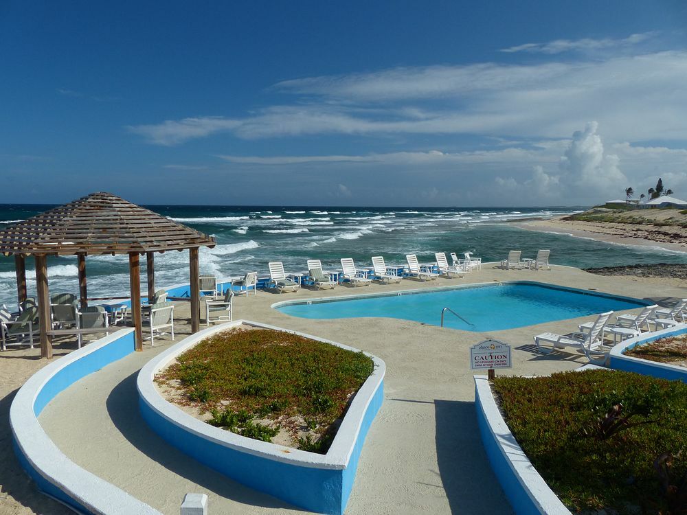 Click to See Next Image