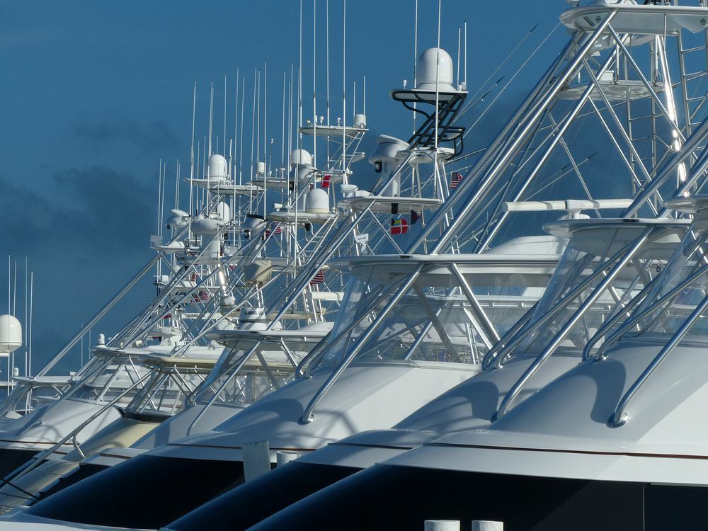 Click to See Next Image