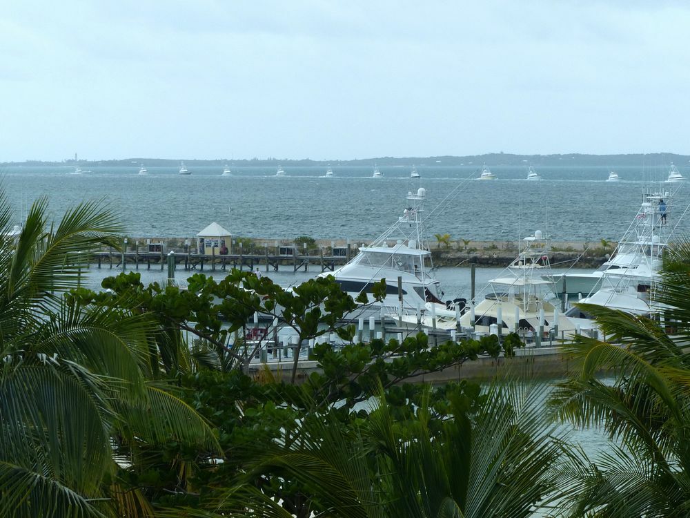 Click to See Next Image