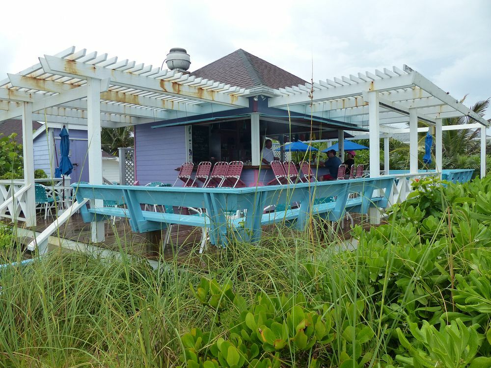 Click to See Next Image