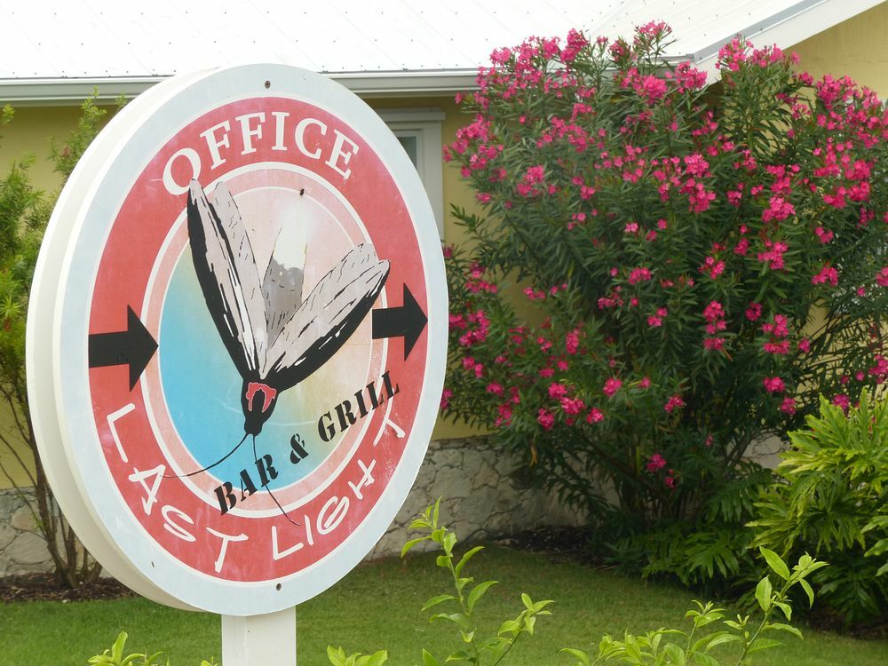 Click to See Next Image