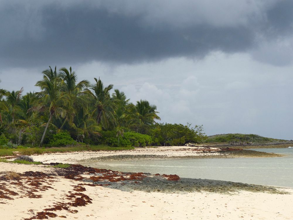 Click to See Next Image