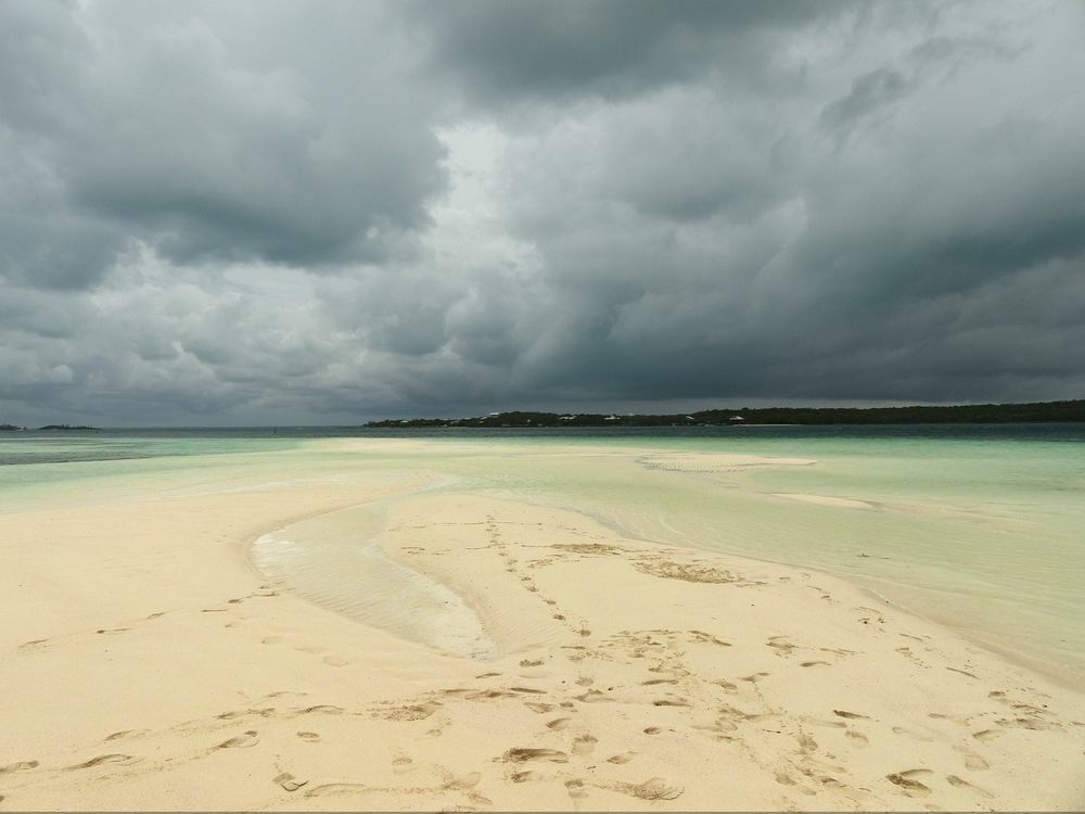 Click to See Next Image