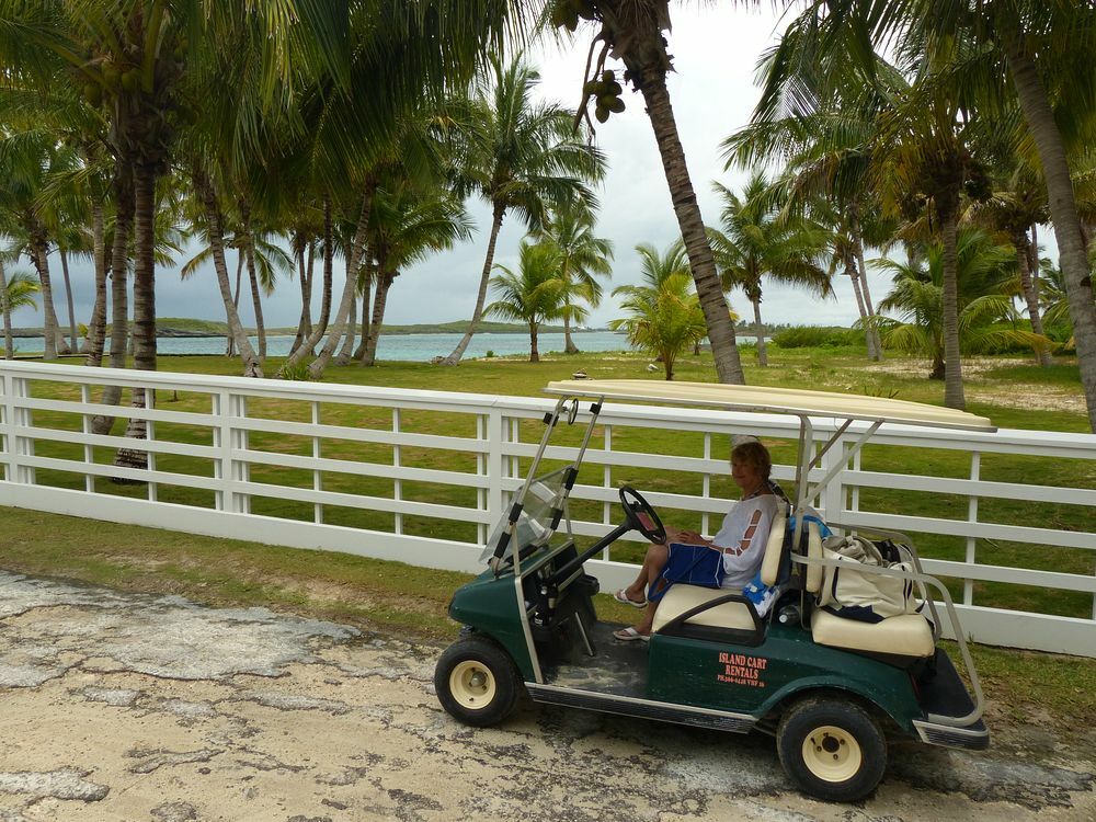 Click to See Next Image