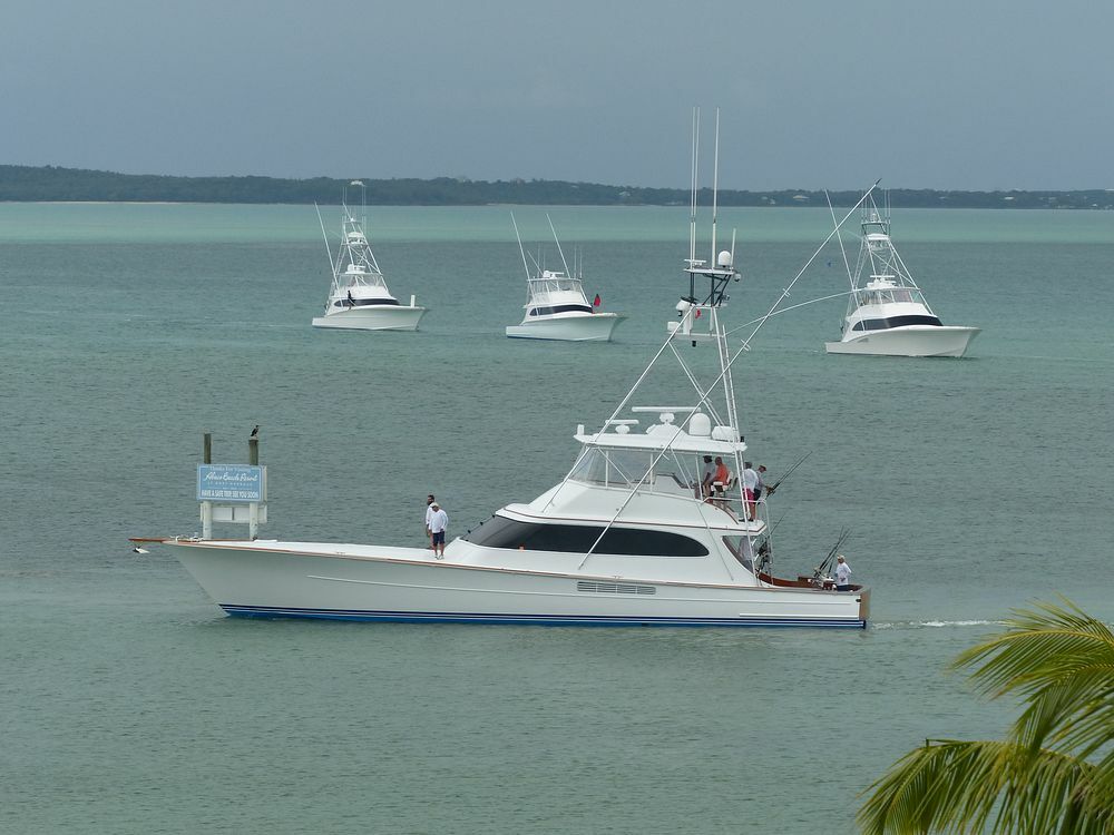 Click to See Next Image