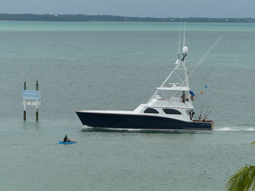 Click to See Next Image