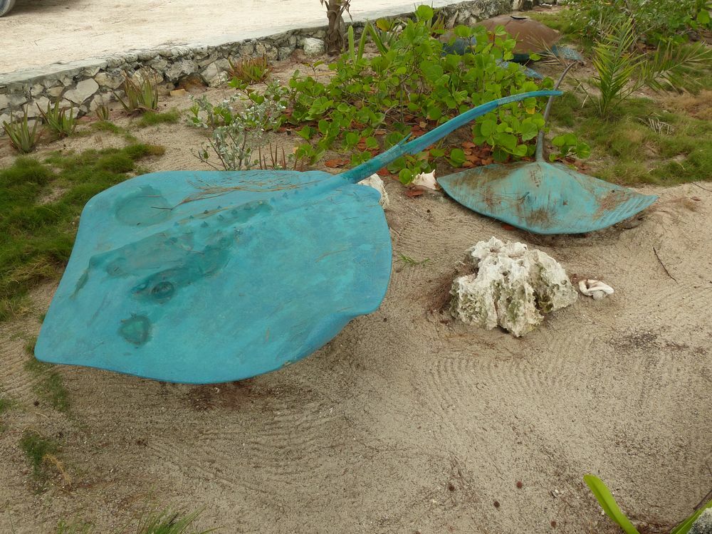 Click to See Next Image