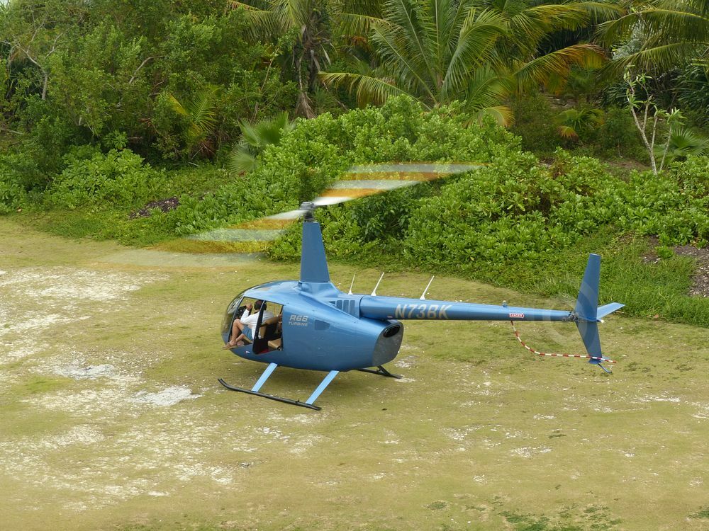 Click to See Next Image