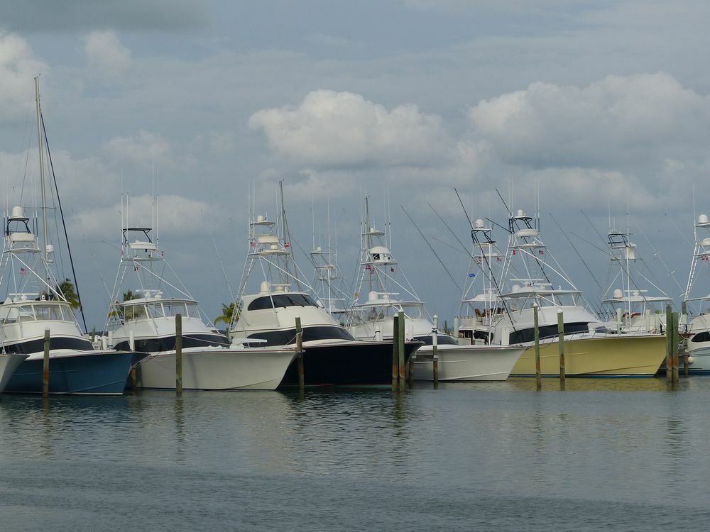 Click to See Next Image