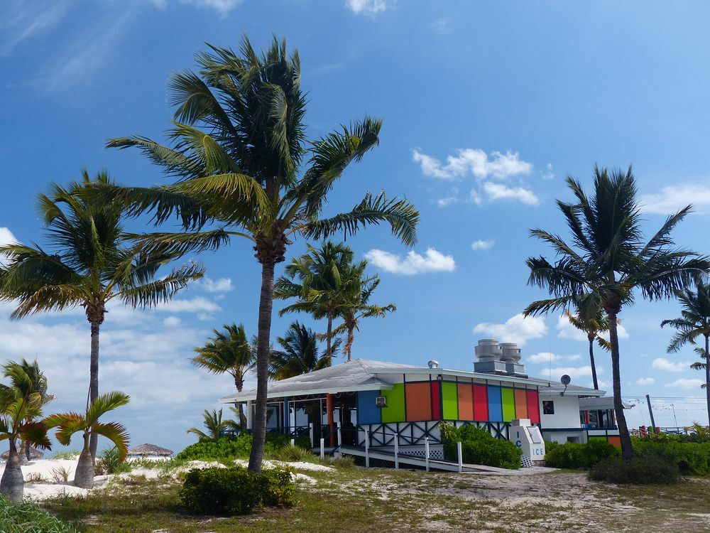 Click to See Next Image