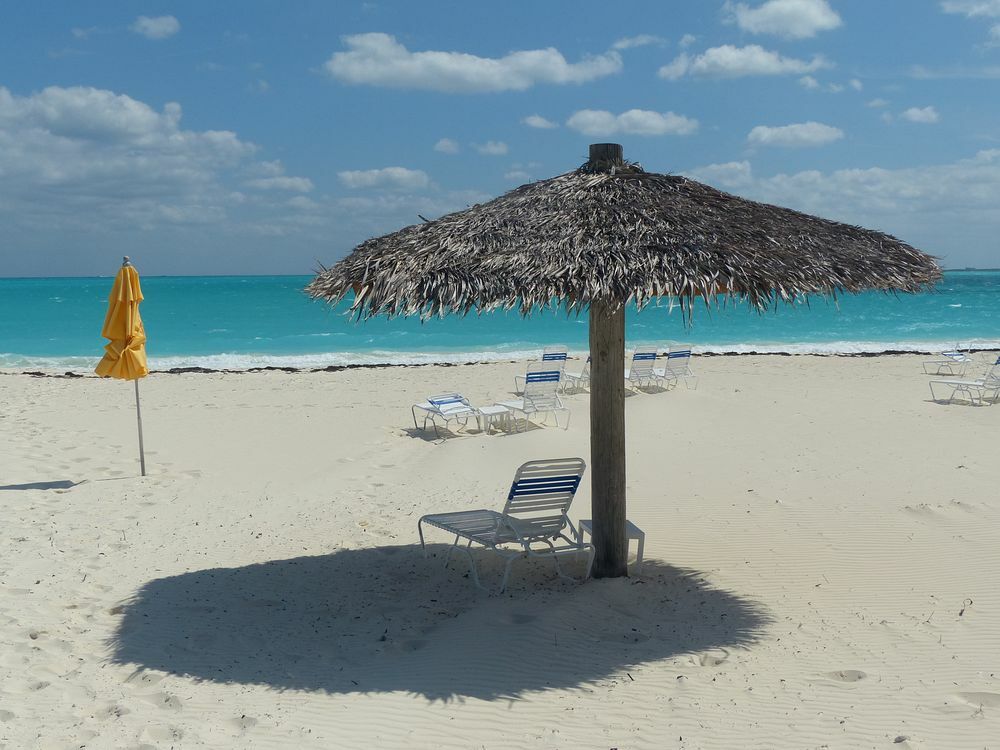 Click to See Next Image