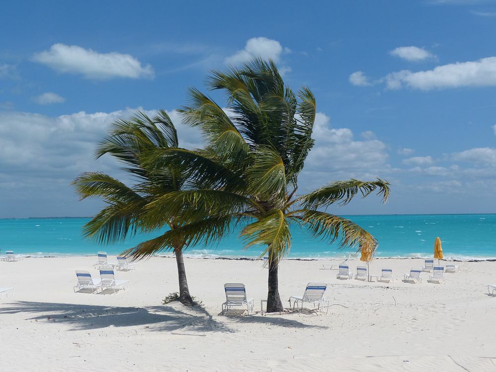 Click to See Next Image