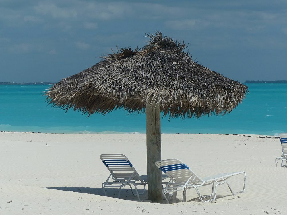 Click to See Next Image