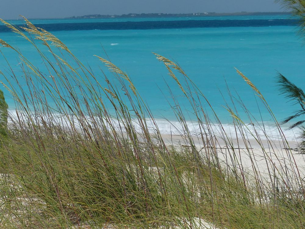 Click to See Next Image