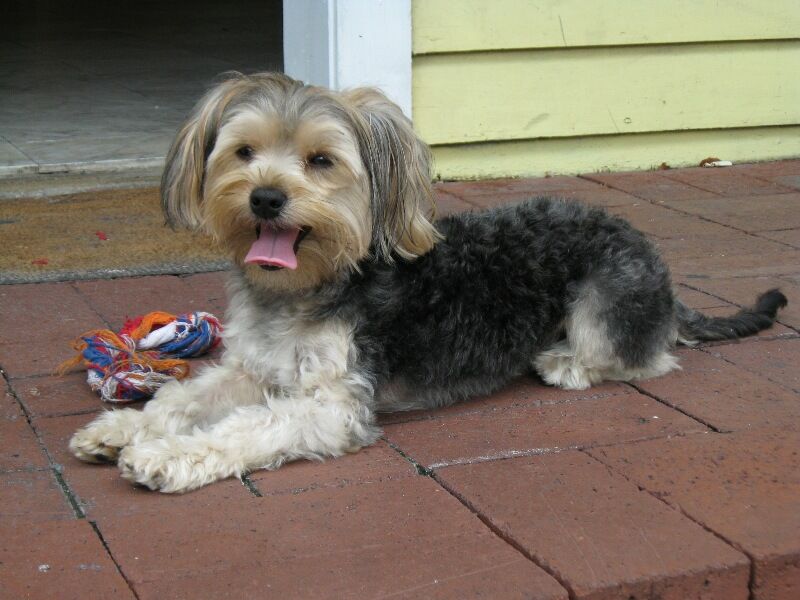 Click to See Next Image