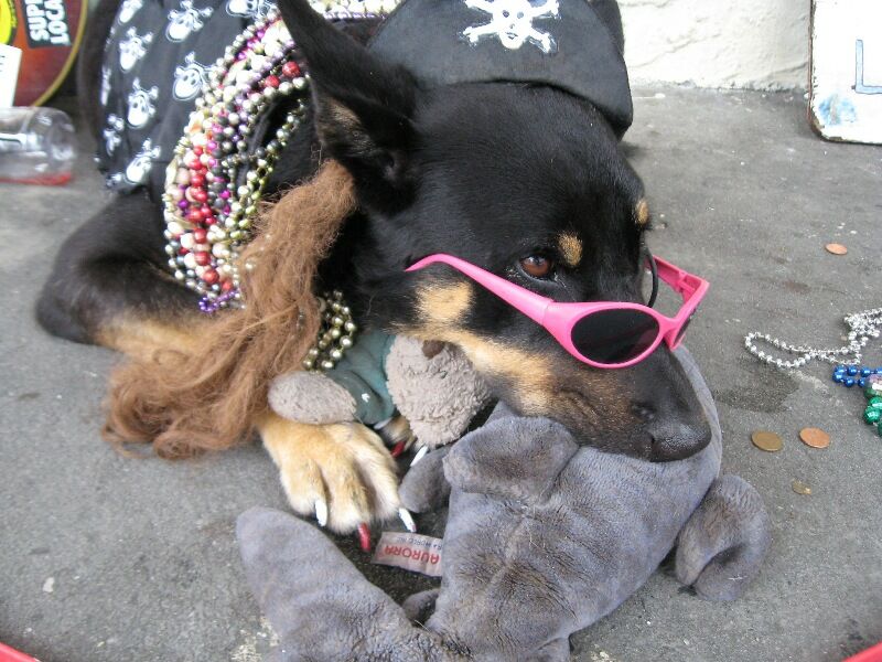 Click to See Next Image