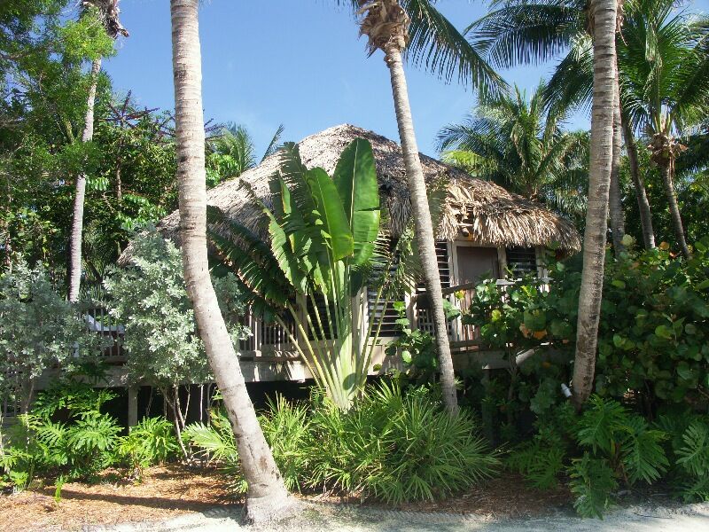 Click to See Next Image