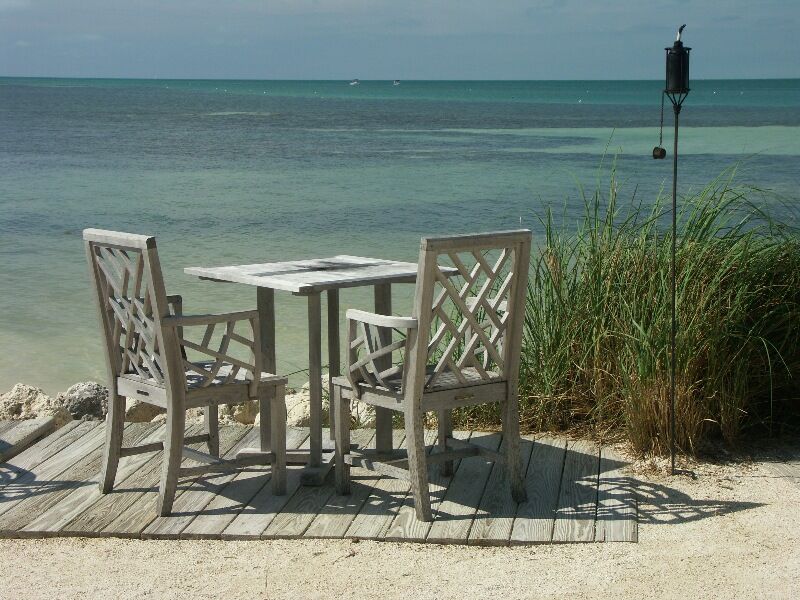 Click to See Next Image