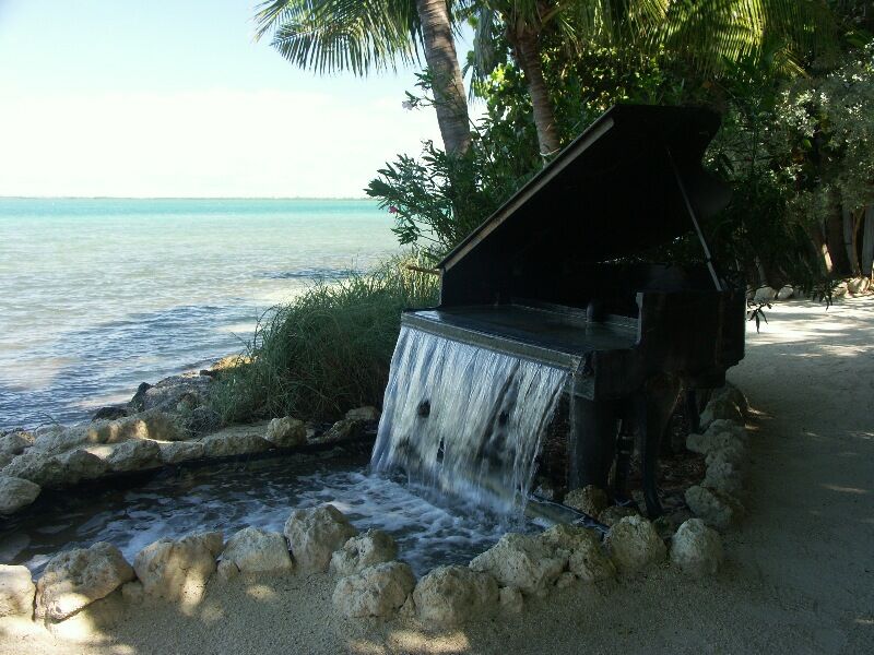 Click to See Next Image