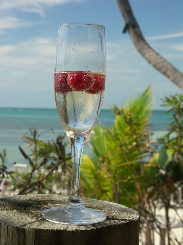 Click to See Next Image