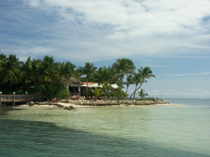 Click to See Next Image