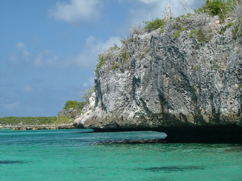 Click to See Next Image