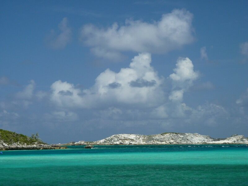 Click to See Next Image