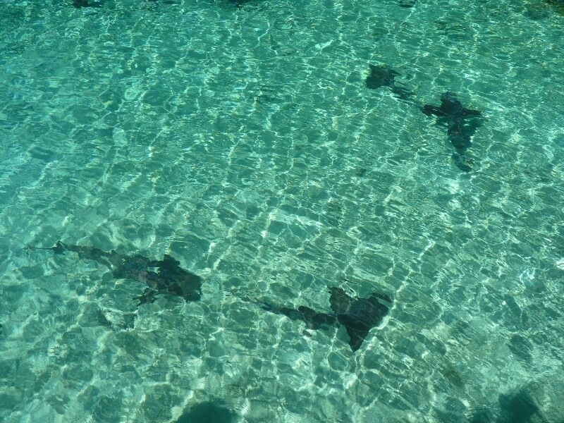 Click to See Next Image