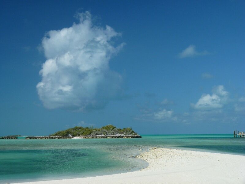 Click to See Next Image