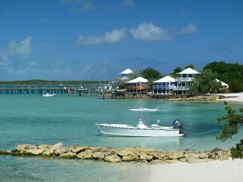 Click to See Next Image