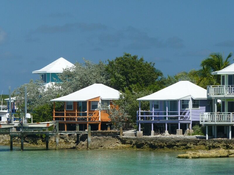 Click to See Next Image