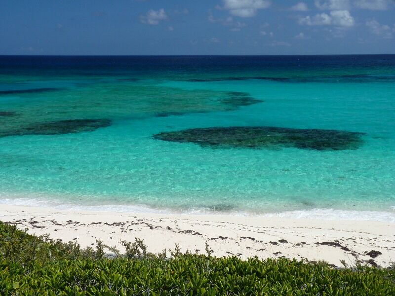 Click to See Next Image