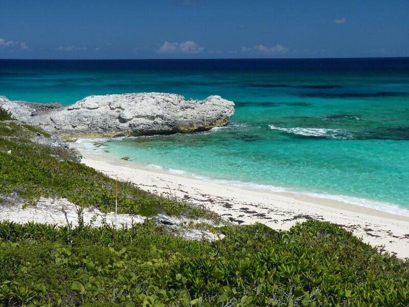 Click to See Next Image