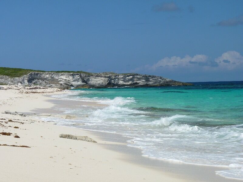 Click to See Next Image