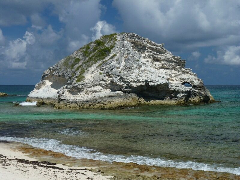 Click to See Next Image