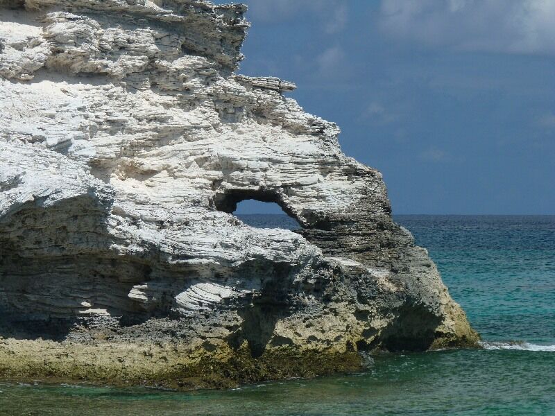 Click to See Next Image