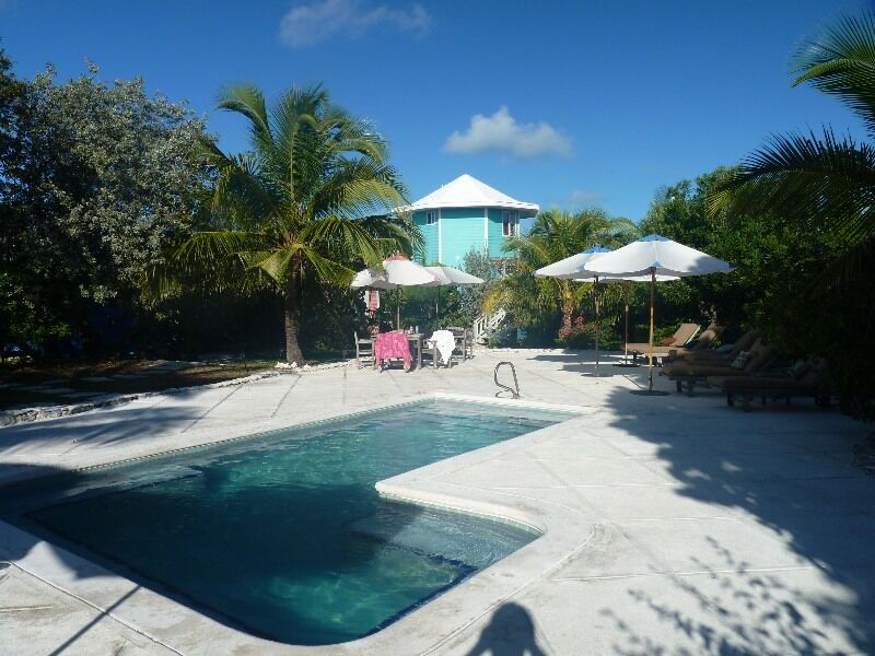 Click to See Next Image