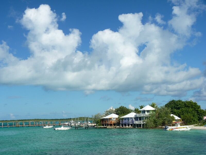 Click to See Next Image