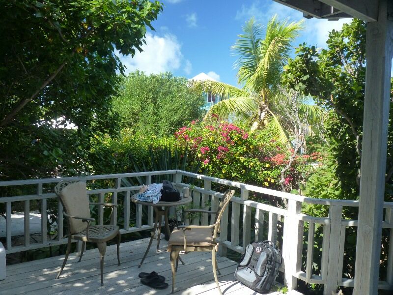 Click to See Next Image